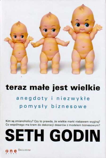 TERAZ MAŁE JEST WIELKIE. Anegdoty i niezwykle pomysły biznesowe (Seth Godin)