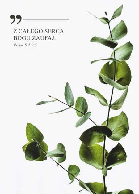 KARTKA  Z całego serca Bogu zaufaj – gałązka