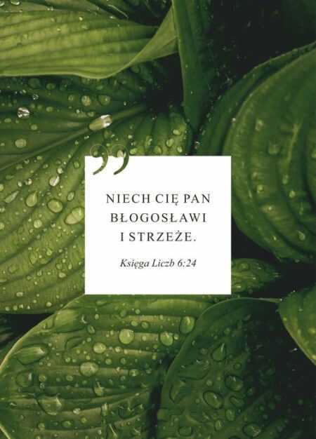 KARTKA  Niech cię Pan błogosławi i strzeże – liście