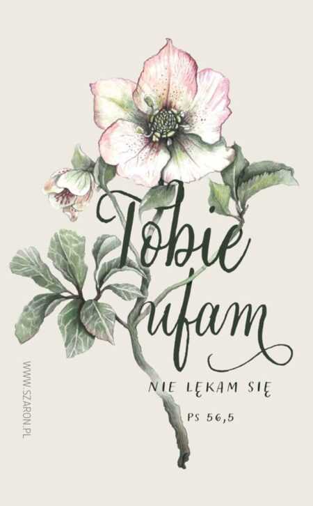 MAGNES NA LODÓWKĘ  Tobie ufam, nie lękam się