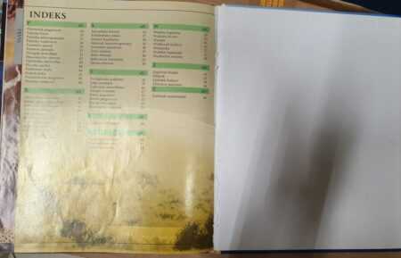 WIELKA ENCYKLOPEDIA ZWIERZĄT  SSAKI - obrazek 2