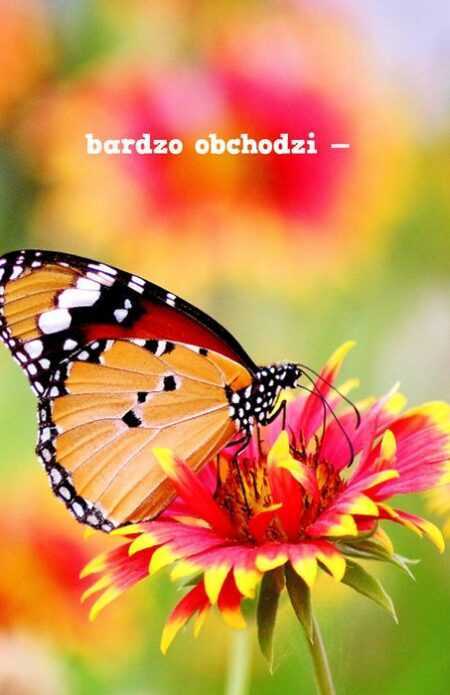BÓG JEST TROSKLIWY (poziom przedszkole część 6) - obrazek 3