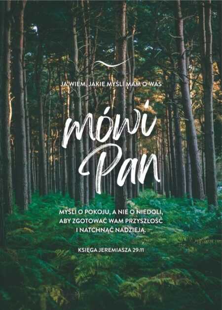 KARTKA – Ja wiem, jakie myśli mam o was… – las