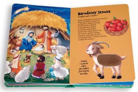 BIBLIA. Zobacz, dotknij, poczuj! - obrazek 2