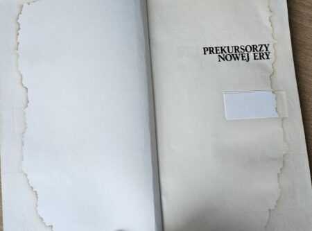 PREKURSORZY NOWEJ ERY - obrazek 2