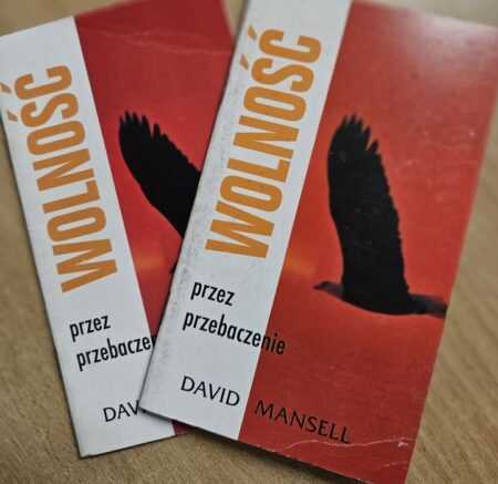 WOLNOŚĆ PRZEZ PRZEBACZENIE  (David Mansell)