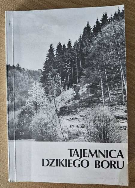 TAJEMNICA DZIKIEGO BORU (Patricia St. John)